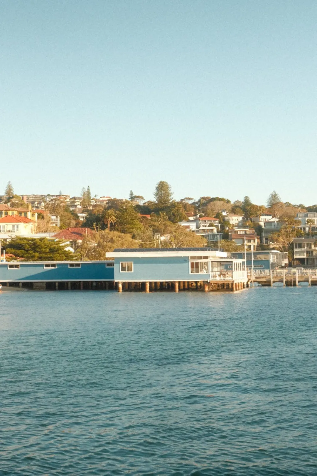 newcastle vs tottenham