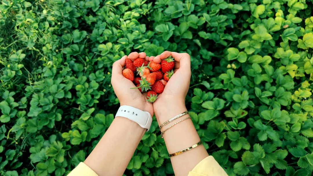 Ombudsman files graft, malversation cases vs Cebu officials over garbage bills