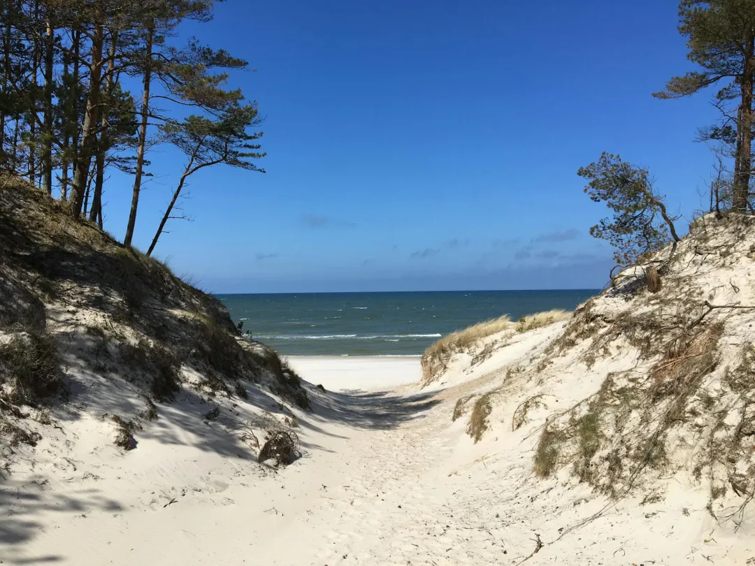 Singson's exit a 'major blow' to ICI's credibility in corruption probe — solons